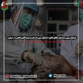 شایع ترین بیماری های قابل انتقال بین انسان و پرندگان اهلی در ایران