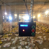 Poultry Scale model V100
