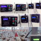 NAPADA Poultry automation for 10 salon Alertis model